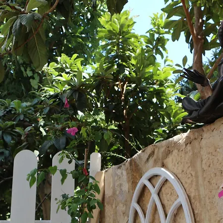 Holy Alloggio in famiglia Kaş